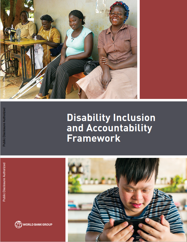 Disability Inclusion and Accountability Framework